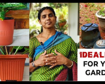 Ideal Pot for Your Garden | Tips for Beginners | Home Garden (Malayalam)