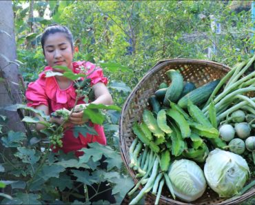 Countryside Life TV: All vegetable are free from vegetable garden / Vegetable dipping sauce recipe