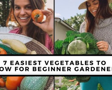 7 Easiest To Grow Vegetables For Beginners | Gardening 101