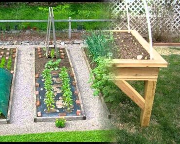 [Garden Ideas] raised vegetable garden