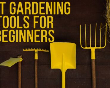 Best Gardening Tools for Beginners: Everything You Need To Know!