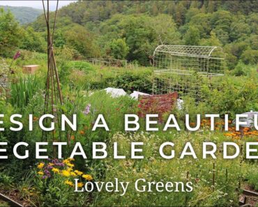 Genius Tips for Designing a Beautiful Vegetable Garden