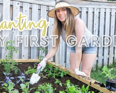 Planting My First Vegetable Garden | Small Backyard Gardening