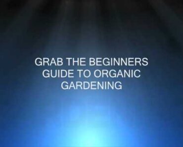 FREE Organic Gardening Beginners Guide