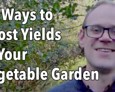 10 Ways to Boost Yields in Your Vegetable Garden
