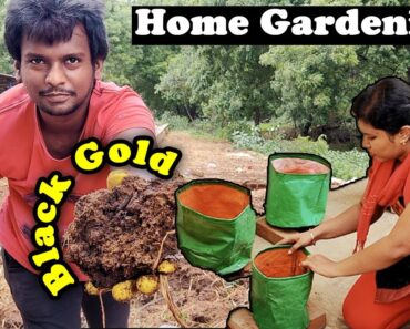 Gardening ideas & tips // my suggestions to beginner gardeners!!😻
