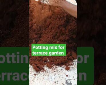 How to prepare potting mix || terrace garden || gardening || beginners guide || video link in descri
