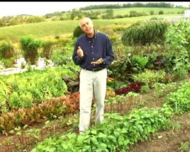 Virginia Farm Bureau – In the Garden – Vegetable Garden Tips