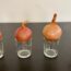 Grow Onion in Water | Indoor Gardening
