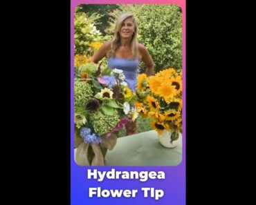 Hydrangea Flower Tip – Kelly Lehman