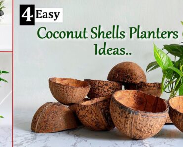 4 Easy & Best Planter Ideas Using Coconut Shells | Indoor & Outdoor Planters//GREEN PLANTS