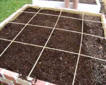 Our New Square Foot Garden (beginners) Season 1 Ep 2-  Direct Sowing Seeds