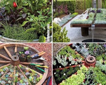 10 Unique and Unusual DIY Vegetable Garden Ideas