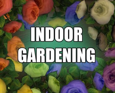 FFXIV Flower Pots & Indoor Gardening Guide
