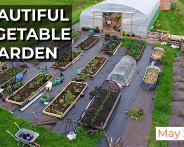 New Vegetable Garden | Homestead Garden Tour (May 2022)