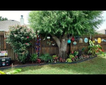Small backyard tropical garden ideas – new DIY flower-plant bed