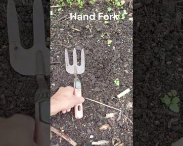 8 Common Garden Tools for Beginners #shorts