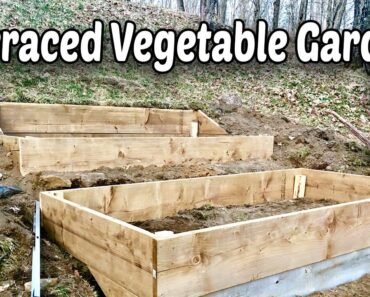How to Make Terraced Raised Beds for Vegetable Gardening – E.1