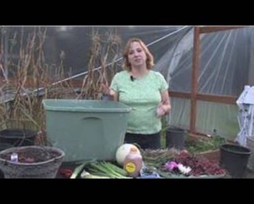 Flower Garden Tips : How to Use a Compost Bin