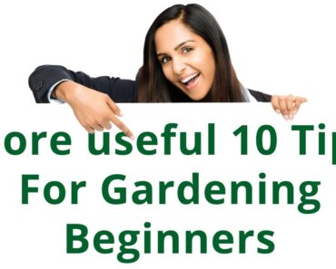 More useful 10 Tips For Gardening Beginners, Garden Tips, garden beginners guide @Plantforhomegarden