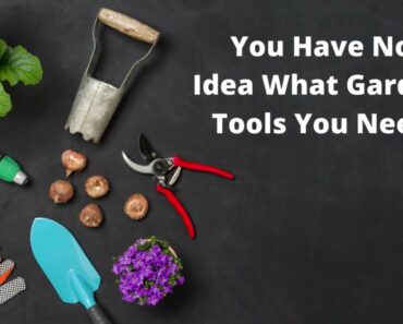 12 Essential Garden Tools for the Beginner: Intro to Gardening