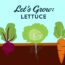 Let’s Grow Lettuce – Vegetable Gardening Tips