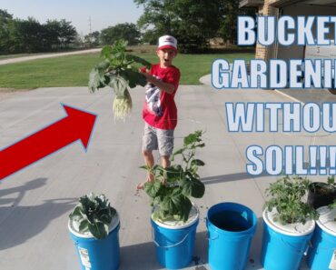Garden in 5 Gallon Buckets Without Soil!!!  DIY Hydroponics