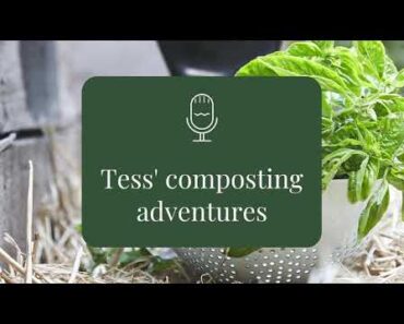 Tess' composting adventures – beginner gardening advice – Rooting for You Podcast Season 1 Episode 7