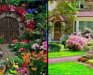 Most beautiful and outstanding colour full flower garden design and ideas