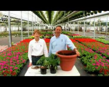 Gardening Tips: Container Vegetable Gardening