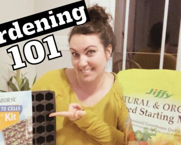 Gardening 101 | Beginner Gardening | How to Start a Garden | Plant Your Seedlings!!