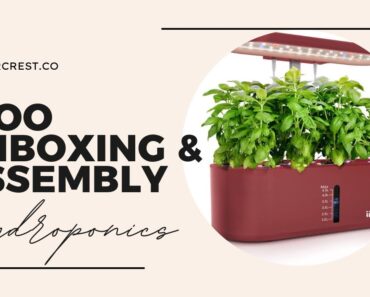 iDOO Hydroponics Growing System | Unboxing and Assembly | EverCrest
