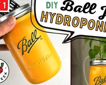 How To Make A Hydroponics Ball Jar To Grow Anything – Pepper Geek