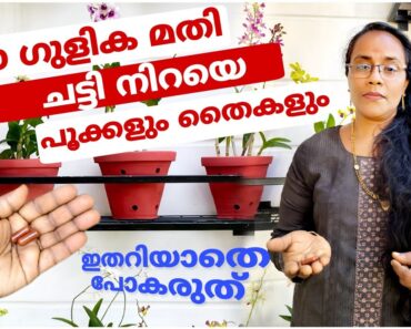 ഈ ഗുളിക മതി പൂക്കളും തൈകളും റെഡി | Easy flower gardening tips in malayalam | pookal nannayi valaran