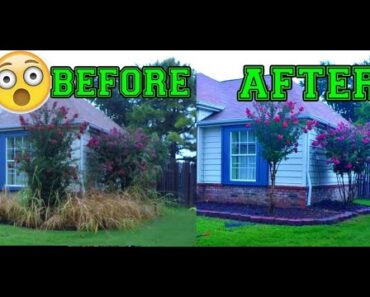 CRAZY CLEAN UP – Landscaping before and after – How to clear Overgrown flower bed