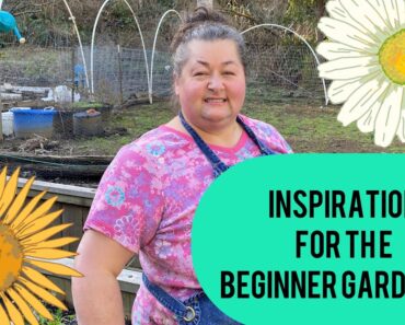 5 Motivational tips for the Beginner Gardener 🥕🍅🥦🌺🌻🥒🧄🤟