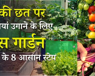 वेजिटेबल टेरेस गार्डन बनाने के 8 आसान स्टेप | How To Make Your Own Terrace Vegetable Garden In Hindi