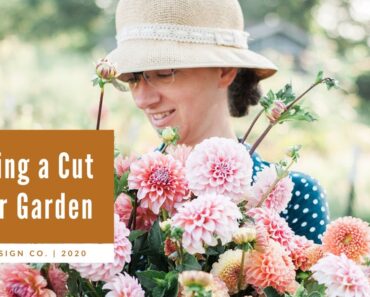 How To Plan A Cut Flower Garden
