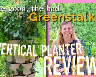 Greenstalk Review | Vertical Planter pros and cons | my experience growing | gardening beginner tips