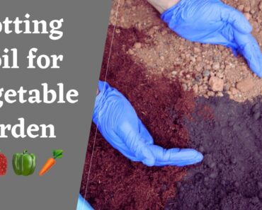 How to prepare Potting soil for vegetable container|| Perfect Potting mix for vegetable garden