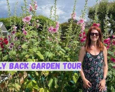July Back Garden Tour – Allotment Gardening For Beginners UK