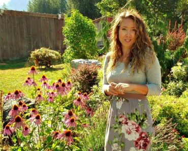 Herbal Flower Garden Tour [How to harvest chamomile &  MEDICINAL flowers]