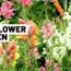 Cut flower garden tour – June 2022 ðŸŒ»ðŸŒº GroundedHavenHomestead