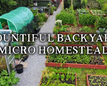 Amazing Permaculture Raised Bed Vegetable Garden | Combining No Dig Gardening with Poultry