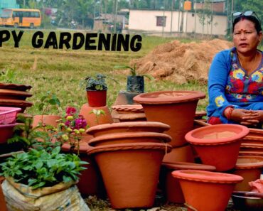 Flower Pot Painting Ideas For Winter Flower Plants I Plant Care in नेपाली I Nepali Garden Tips