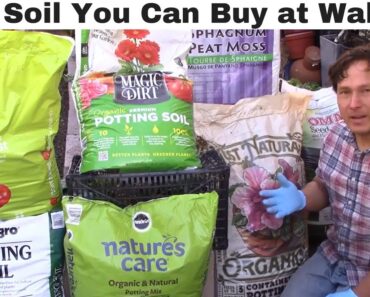 Best Vegetable Garden Soil You Can Buy at Walmart + What to Look For