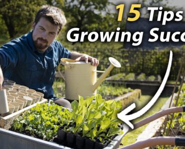 15 Vegetable Gardening Tips EVERY Beginner Should Know | Invaluable Grow Your Own Tips