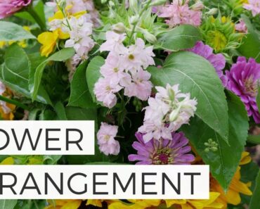 Sunflower Flower Arrangement with Larkspur – Cut Flower Gardening for Beginners