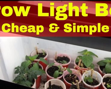 DIY Grow Light Setup For Indoor Gardening: Cheap and Simple