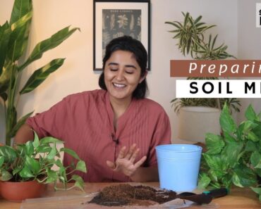 How to prepare soil mix for Indoor plants | Ep.6 Garden Up Basics